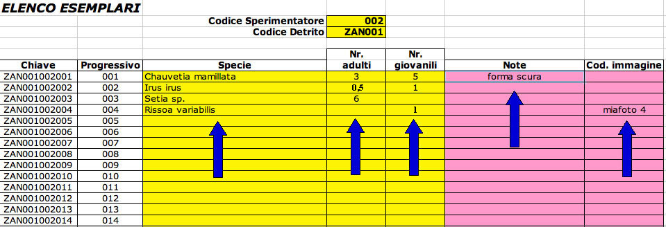 Ricerche sulla malacofauna marina di Zannone